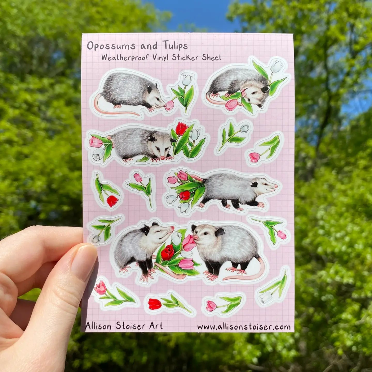 Allison Stoiser Art - Opossums and Tulips Vinyl Sticker Sheet